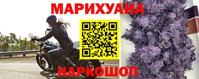 индика Севастополь